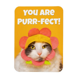 Cute Cat in Flower Pet Humor Magneet