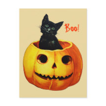 Cute Cat in Pumpkin Vintage Halloween Postcard