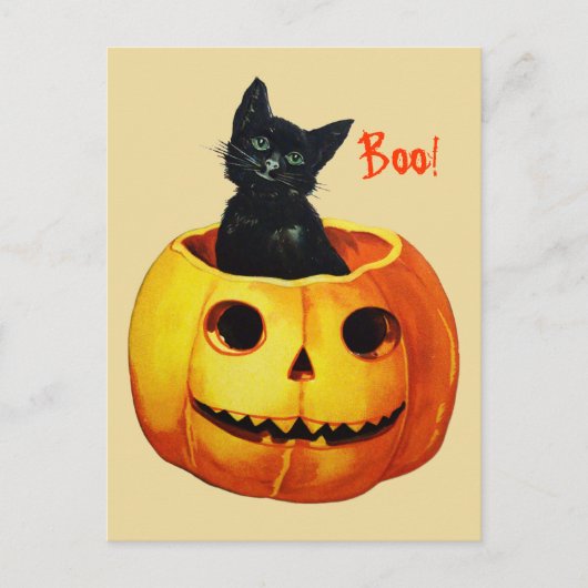 Cute Cat in Pumpkin Vintage Halloween Postcard Briefkaart (Voorkant)