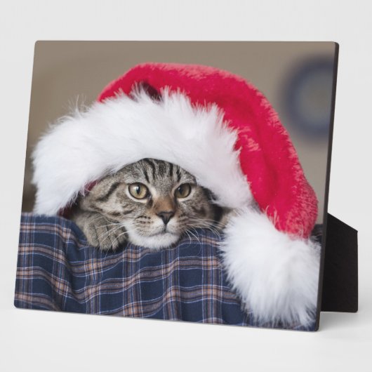 Cute cat in santa hat fotoplaat (Zijkant)