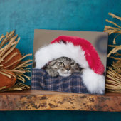 Cute cat in santa hat fotoplaat (Zijkant)