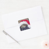 Cute cat in santa hat vierkante sticker (Envelop)