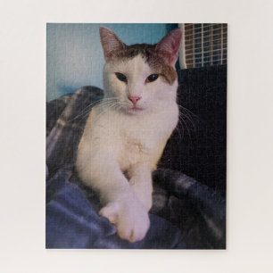 Cute Cat Jigzaag Puzzle Legpuzzel