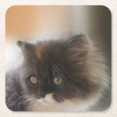 Cute Cat Kartonnen Onderzetters (Voorkant)