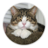 Cute Cat Keramische Knop (Voorkant)