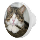 Cute Cat Keramische Knop (Rechts)