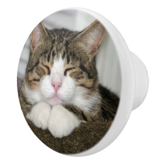 Cute Cat Keramische Knop (Rechts)