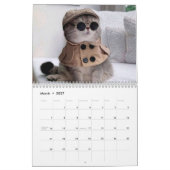 Cute Cat & Kitten Agenda 2023 Kalender (Mar 2027)