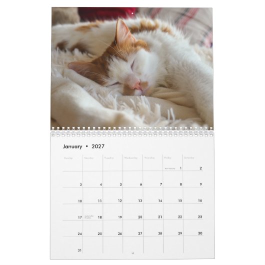 Cute Cat & Kitten Agenda 2023 Kalender (Jan 2027)