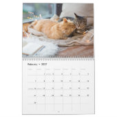 Cute Cat & Kitten Agenda 2023 Kalender (Feb 2027)