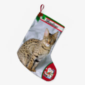 Cute Cat Kitten Foto met kerstcadeaunaam Kleine Kerstsok (Voorkant (Hangend))