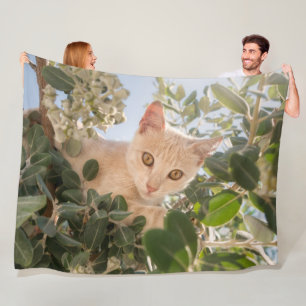 Cute Cat Kitten klimmen in een Eucalyptusboom - Fleece Deken
