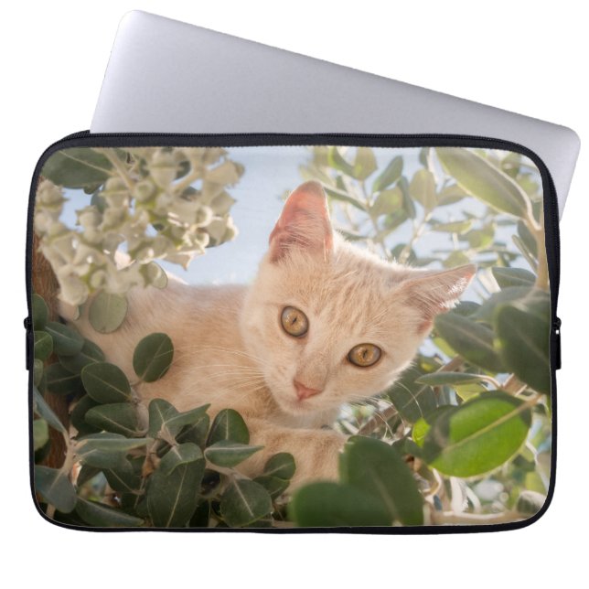 Cute Cat Kitten klimmen in een Eucalyptusboom — Laptop Sleeve (Voorkant)