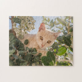 Cute Cat Kitten klimmen in een Eucalyptusboom - Legpuzzel
