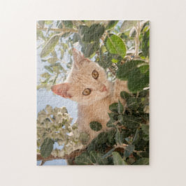 Cute Cat Kitten klimmen in een Eucalyptusboom - Legpuzzel