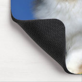 Cute Cat Kitten M003 Muismat (Hoek)