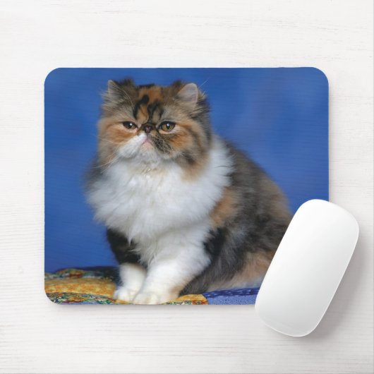 Cute Cat Kitten M003 Muismat (Met muis)