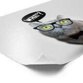 Cute Cat kitten met een bril die grappig citeert Foto Afdruk (Hoek)