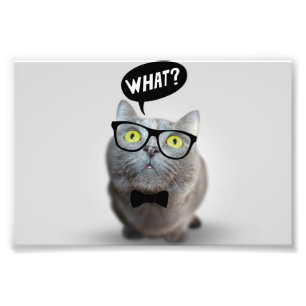 Cute Cat kitten met een bril die grappig citeert Foto Afdruk