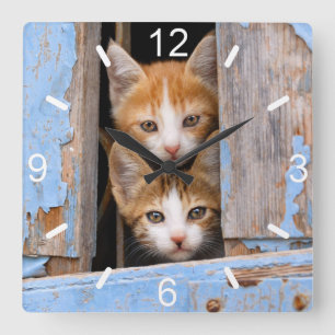 Cute Cat Kittens in Blue  Window dial-bord Vierkante Klok