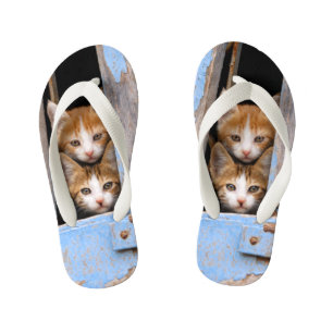 Cute Cat Kittens in Blue Window Foto Kinder Teenslippers