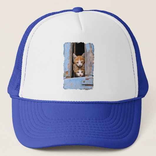 Cute Cat Kittens in Blue Window Photo Trucker Pet (Voorkant)