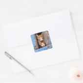 Cute Cat Kittens in een Blue  Window Animal - Vierkante Sticker (Envelop)