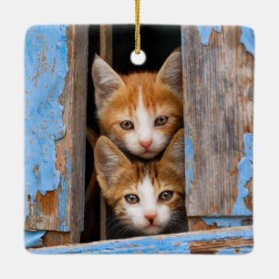 Cute Cat Kittens in een Blue Window Photo - Keramisch Ornament