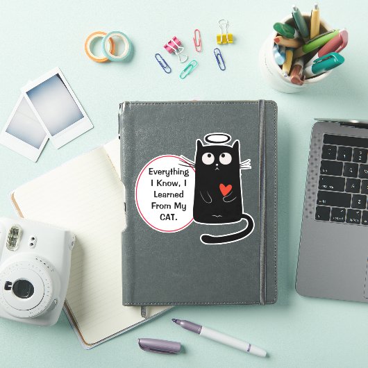 Cute Cat Knowledge Contour Sticker (iPad Cover)