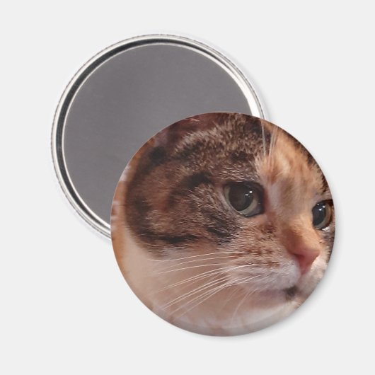 Cute Cat koelkast Pin Magnet (Voorkant / Achterkant)