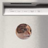 Cute Cat koelkast Pin Magnet (Insitu (Vaatwasser))