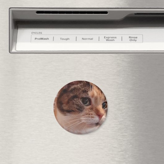 Cute Cat koelkast Pin Magnet (Insitu (Vaatwasser))