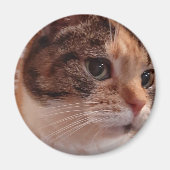 Cute Cat koelkast Pin Magnet (Voorkant)