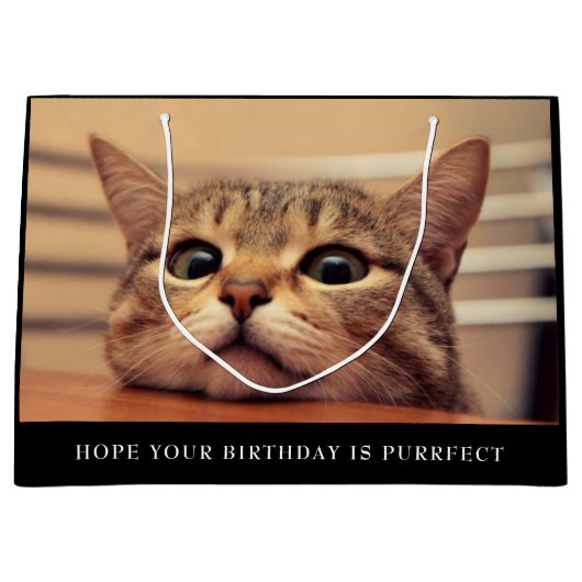 Cute Cat Large Cft Bag Groot Cadeauzakje (Voorkant)