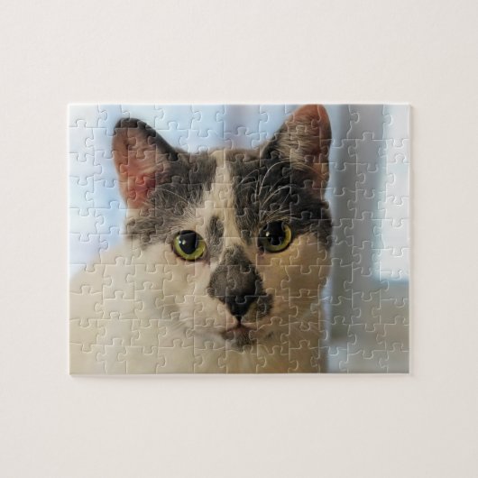 Cute Cat Legpuzzel (Horizontaal)
