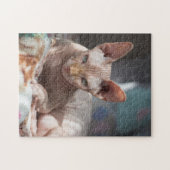 Cute Cat Lounging No Fur Legpuzzel (Horizontaal)
