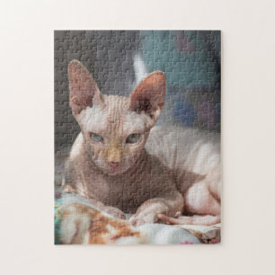 Cute Cat Lounging No Fur Legpuzzel