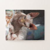 Cute Cat Lounging zonder Fur Legpuzzel (Horizontaal)
