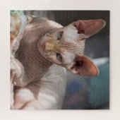 Cute Cat Lounging zonder Fur Legpuzzel (Horizontaal)