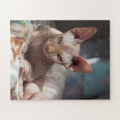 Cute Cat Lounging zonder Fur Legpuzzel (Horizontaal)