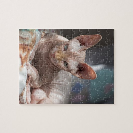 Cute Cat Lounging zonder Fur Legpuzzel (Horizontaal)