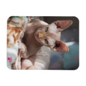 Cute Cat Lounging zonder Fur Magneet (Horizontaal)