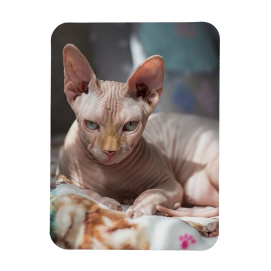 Cute Cat Lounging zonder Fur Magneet (Verticaal)