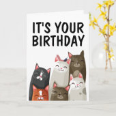 CUTE CAT LOVER BIRTHDAY CARD "PURRFECT" KAART (Gele Bloem)