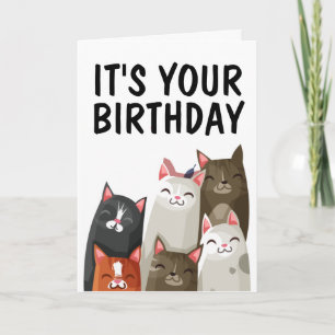 CUTE CAT LOVER BIRTHDAY CARD "PURRFECT" KAART
