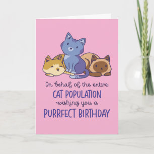 Cute Cat Lover Purrfect Birthday Funny Kaart