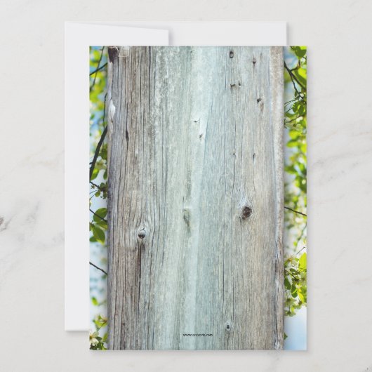 Cute Cat Lovers Housewarming Invitation Kaart (Achterkant)