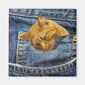 Cute Cat Lovers Keepomwille gift Magneet (Voorkant)