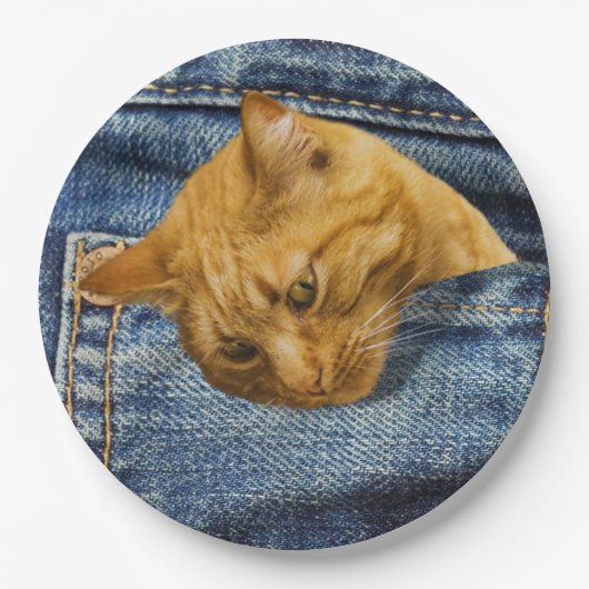 Cute Cat Lovers Keepomwille gift Papieren Bordje (Voorkant)