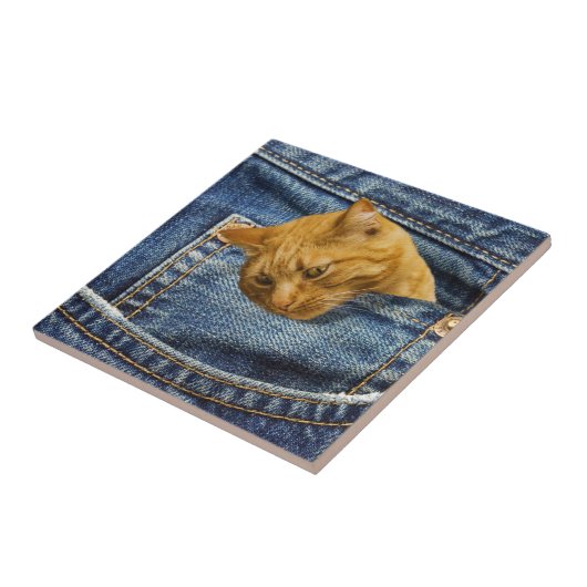 Cute Cat Lovers Keepomwille gift Tegeltje (Zijkant)